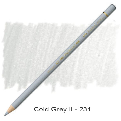 Faber Castell Polychromos Pencil Cold Grey II 231