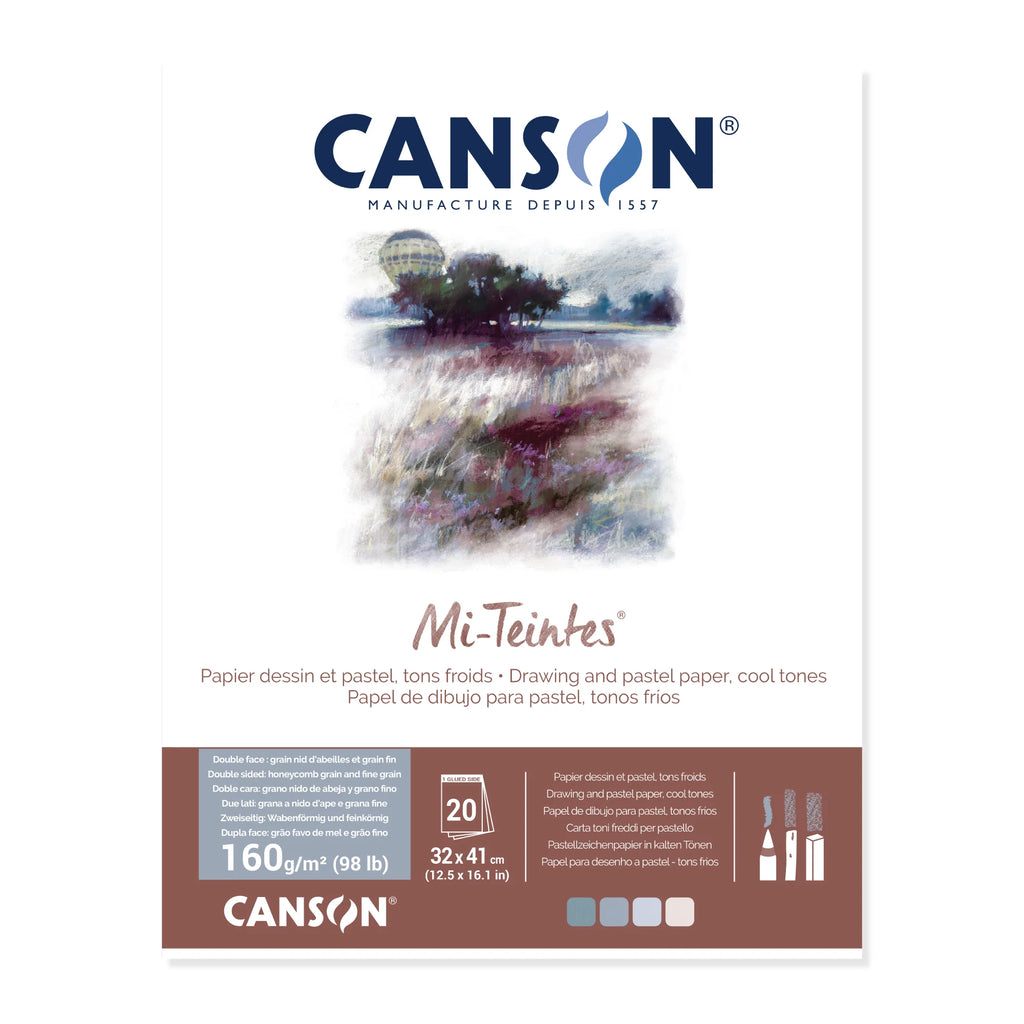 Canson Mi-Teintes Cool Tones