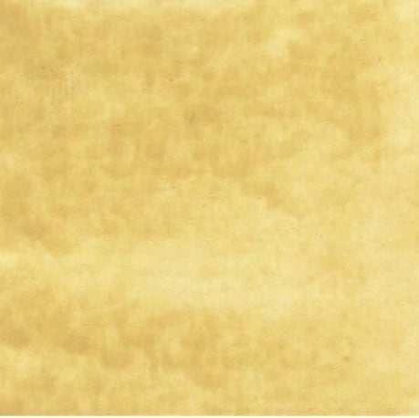 Gansai Tambi Watercolours Ecru 016