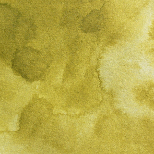 Gansai Tambi Watercolours Green Gold 405