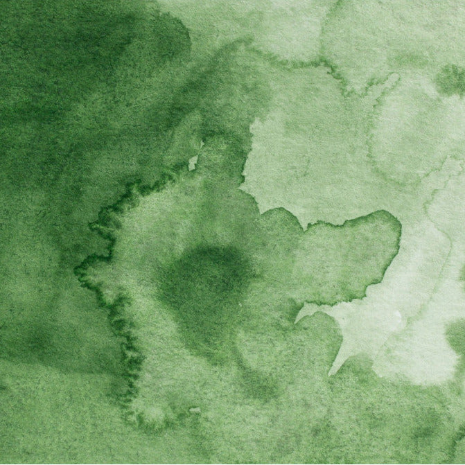 Gansai Tambi Watercolours Green Grey 504